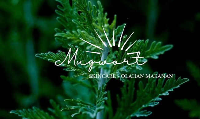 Mugwort: Bahan Skincare dari Korea yang Dapat Dimakan