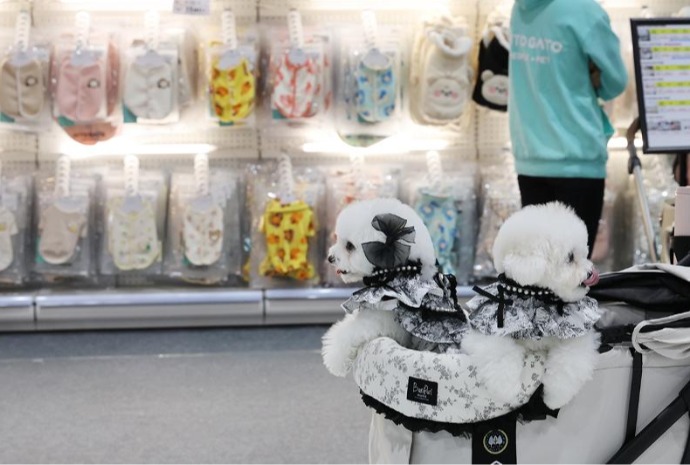 Waktu Belanja Menyenangkan Bersama Anjing-Anjing