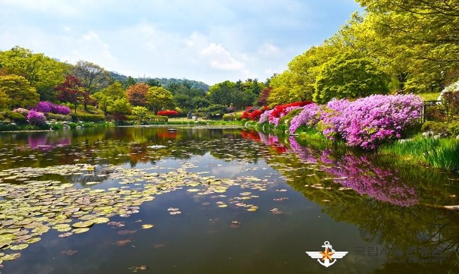 Malam Musim Panas Yang Dinikmati di Seoul National Cemetery