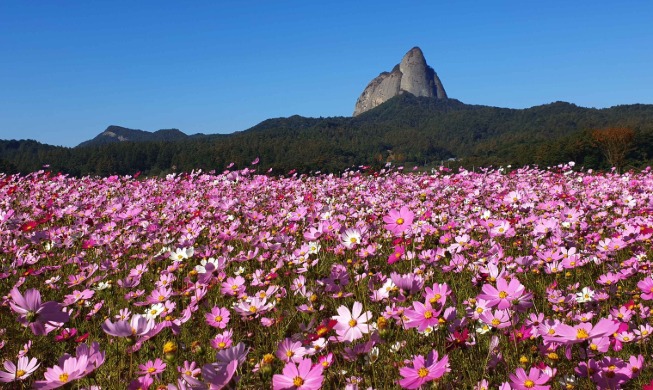 Berwisata Sambil Peringati 80 Tahun Kemerdekaan Korea