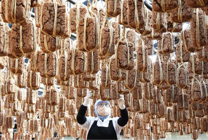 Musim Pengeringan Meju