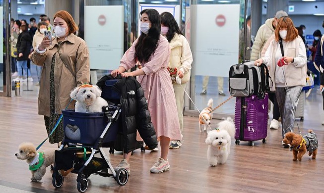 Berlibur ke Jeju Bersama Anjing Peliharaan