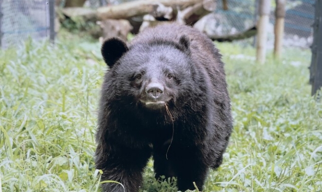 [Hidup Berdampingan dengan Hewan] ② Suaka Margasatwa di Korea