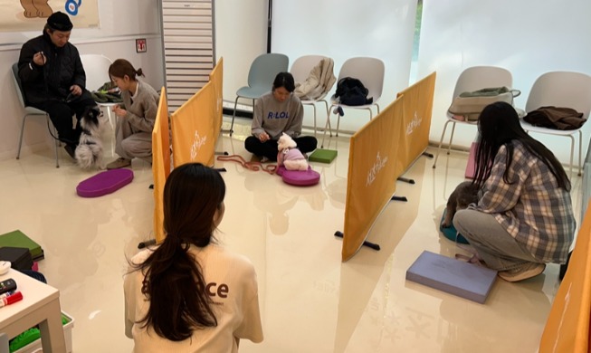 Jumlah Hewan Telantar Menurun dan Pendaftaran Hewan Peliharaan Meningkat di Korea