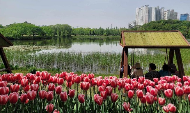 Pameran Bunga Internasional Goyang Hadirkan Jutaan Kuntum Bunga