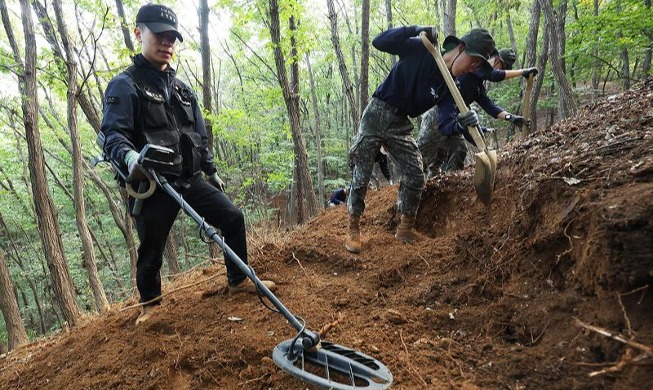 Para Tentara Menggali Sisa-sisa Jenazah Prajurit Perang Korea