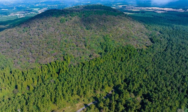 [Keunggulan Administrasi Publik Korea] ④ Kesuksesan Upaya Reboisasi Korea