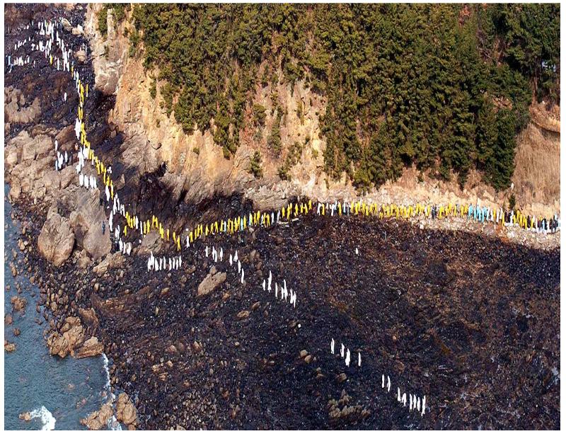 Dokumen berisi catatan minyak yang tumpah pada 7 Desember 2007 di Taean-gun, Provinsi Chungcheongnam dan bagaimana cara pembersihannya juga terpilih untuk masuk ke dalam Warisan Ingatan Dunia UNESCO pada wilayah Asia Pasifik.