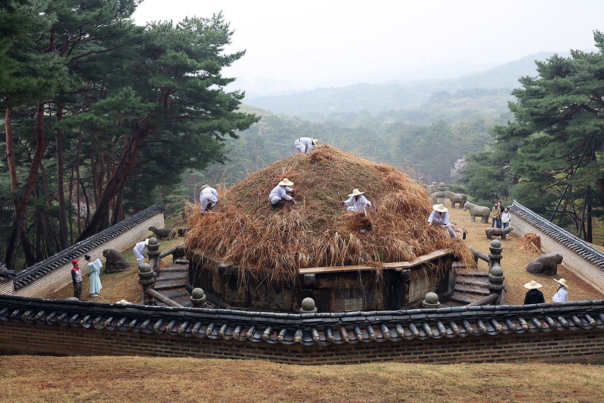 Sebagai bagian dari perayaan Hari Hansik, para penata taman pada tanggal 6 April memangkas rumput perak (Miscanthus sinensis) yang menutupi Makam Geonwonneung, makam pendiri Dinasti Joseon, Yi Seong-gye (Raja Taejo), di antara Donggureung (Timur Sembilan Makam Kerajaan) di Guri, Provinsi Gyeonggi. Hansik merupakan salah satu hari khusus dalam penandaan 24 siklus matahari tradisional Korea dalam satu tahun lunar. Hari tersebut datang 105 hari setelah titik balik matahari musim dingin. Hansik disebut juga sebagai Hari Makanan Dingin karena pada zaman dahulu, masyarakat tidak menggunakan api sebagai pencahayaan maupun alat untuk memasak makanan pada Hari Hansik. Hari Hansik adalah salah satu dari empat hari perayaan tradisional Korea bersama dengan Seollal (Tahun Baru Lunar), Dano (hari kelima dalam bulan kelima), dan Chuseok (perayaan festival panen Korea). Kebiasaan makan makanan dingin pada Hari Hansik tetap ada hingga hari ini. Tidak seperti makam kerajaan lainnya dari era Joseon yang dipangkas tujuh kali setahun, rumput di Geonwonneung hanya dipotong setahun sekali di Hari Hansik. (Yonhap News)