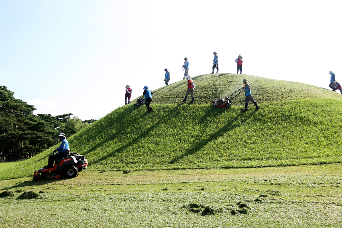 Menjelang Hari Raya Chuseok, para pekerja memangkas rerumputan pada lima buah makam kerajaan di Gyeongju pada tanggal 19 September. Lima buah makam kerajaan yang disebut juga sebagai Gyeongju Oreung ini merupakan makam-makam para raja dari Kerajaan Silla dan sudah ditetapkan sebagai situs bersejarah nasional ke-172 pada tahun 1969. (Yonhap News)