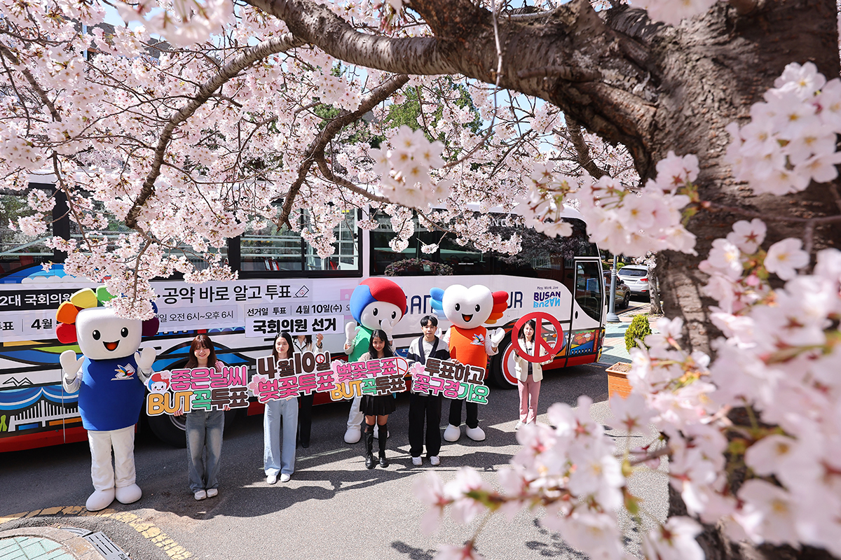  Pada tanggal 1 April, sembilan hari sebelum pemilihan anggota DPR ke-22, Para pejabat Komisi Pemilihan Umum Kota Busan melakukan kampanye dengan menggunakan bunga ceri dan bus kota Busan untuk mendorong partisipasi pemungutan suara di Kampus Daeyeon, Universitas Nasional Pukyong, Nam-gu, Busan. (Yonhap News) 