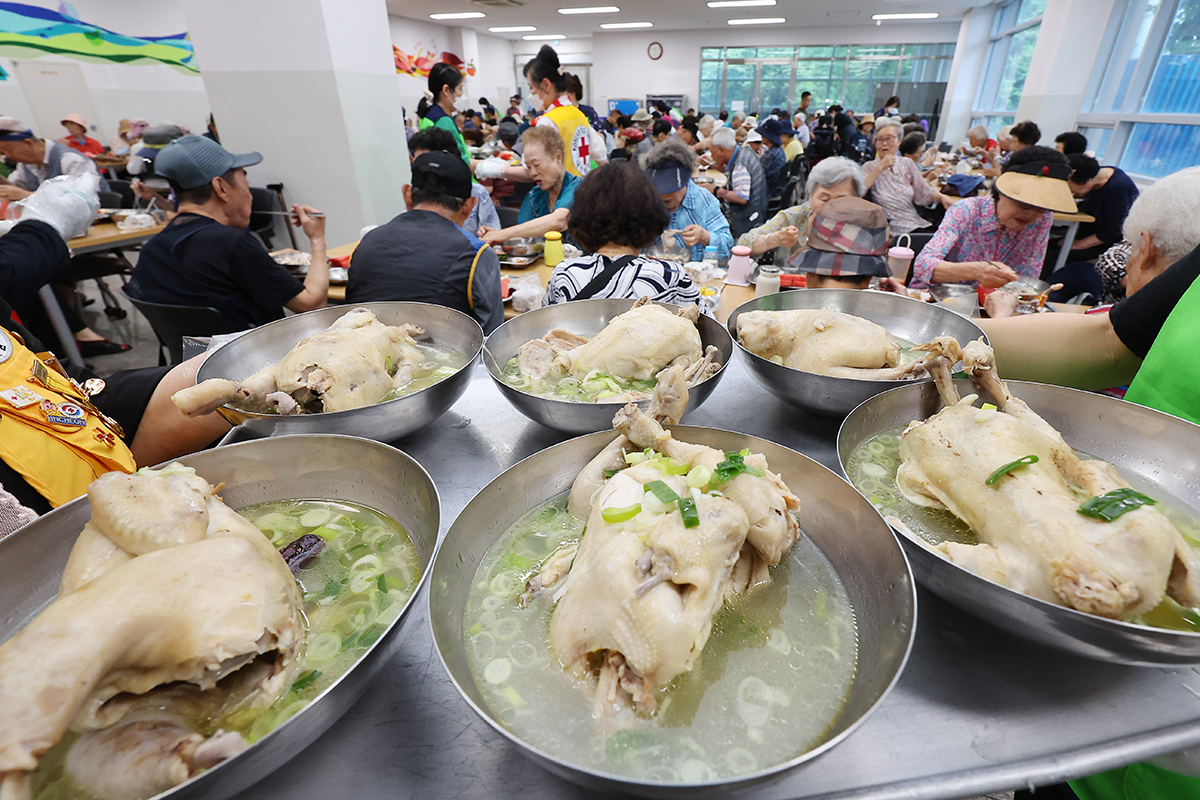 Para lansia terlihat sedang menikmati samgyetang (sup ayam ginseng) yang menjadi menu favorit musim panas pada tanggal 15 Juli 2024 di Palang Merah Incheon, Yeonsu-gu, Incheon. Tanggal 15 Juli 2024 menjadi perayaan chobok, yaitu salah satu dari tiga hari terpanas pada musim panas. (Yonhap News)