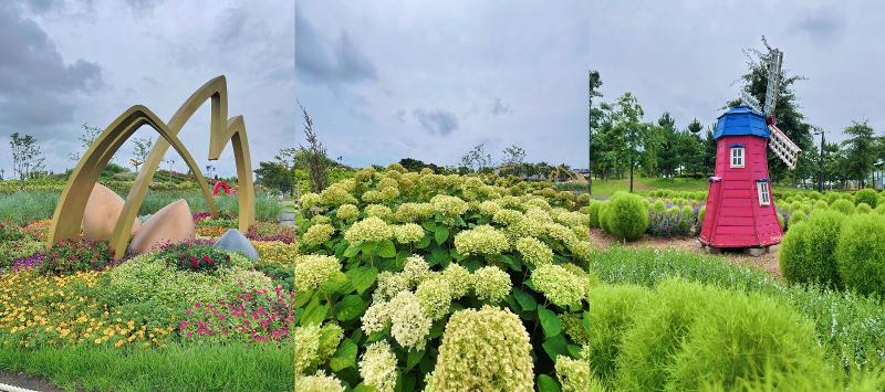 Berbagai tanaman serta bunga-bunga yang terdapat di Taman Agro-Ekologi Pyeongtaek. 