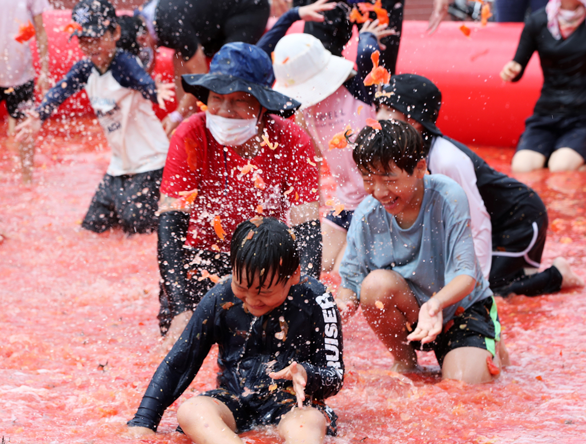 Pada tanggal 9 Agustus, yakni hari pertama Festival Tomat Dataran Tinggi Dunnae Hoengseong Gangwon ke-13, para peserta terlihat sedang menikmati festival dengan melempar dan menghancurkan tomat di kolam tomat besar yang disediakan di Taman Olahraga Dunnae. Mereka sedang mencari hadiah seperti cincin emas yang disembunyikan di dalam kolam tomat tersebut. Festival tahun 2024 yang bertema Festival Keluarga dengan Tomat Terbaik Korea (terjemahan tidak resmi) akan berlanjut hingga tanggal 11 Agustus. (Yonhap News)