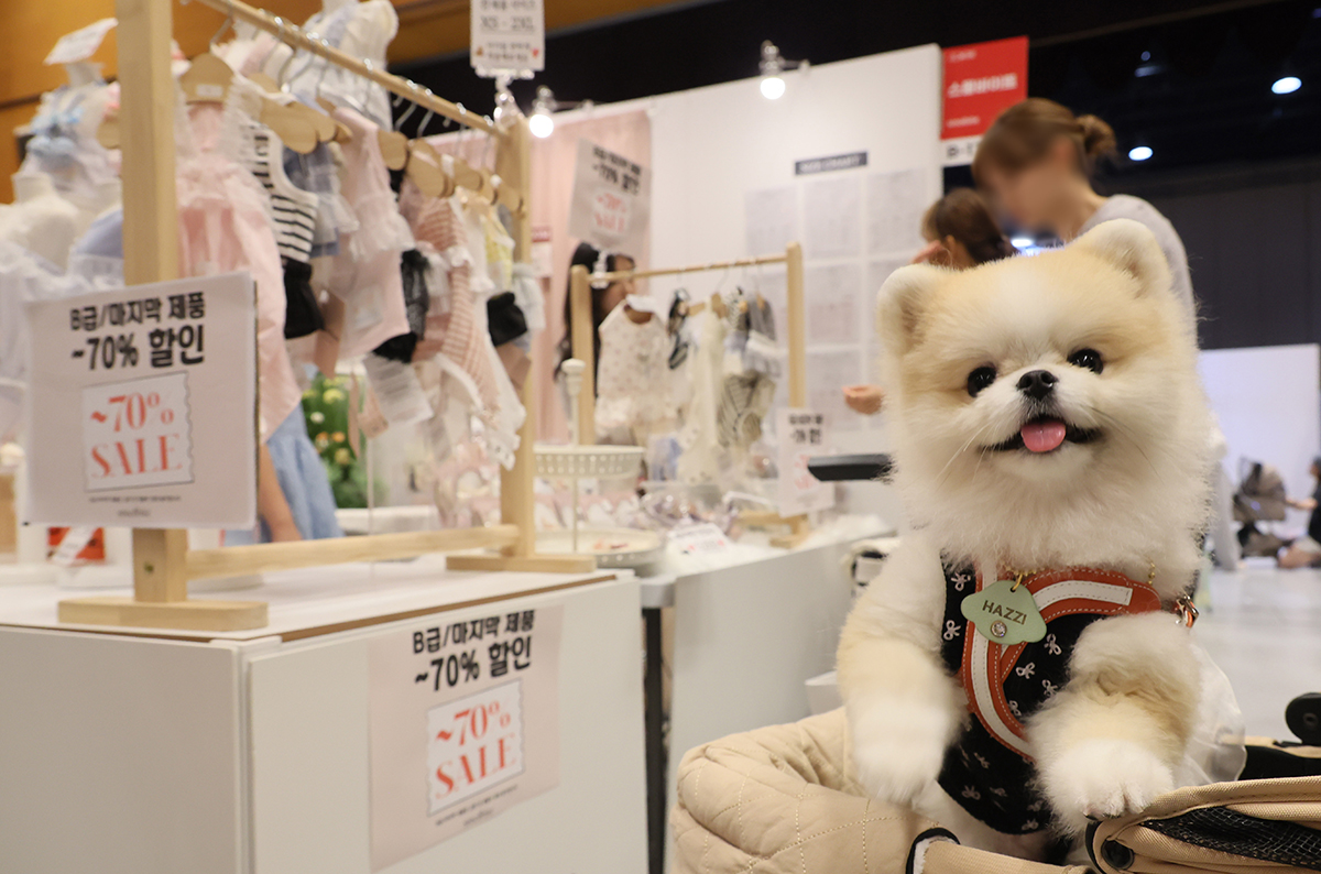 Warga terlihat sedang melihat-lihat produk perawatan untuk hewan peliharaan di 2024 K-Pet Fair Seoul. Acara tersebut digelar pada tanggal 23 Agustus 2024 di COEX, Gangnam-gu, Seoul. (Yonhap News)
