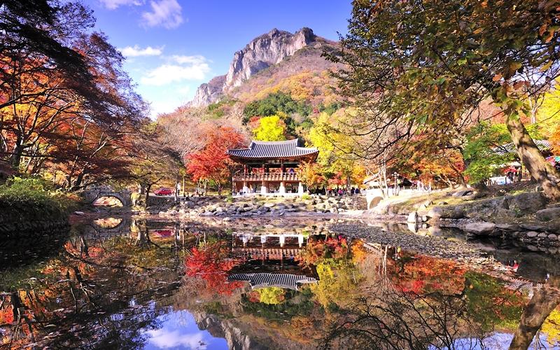 Kementerian Kebudayaan, Olahraga, dan Pariwisata mengumumkan pada tanggal 16 Oktober 2024 bahwa kementerian akan menyediakan berbagai konten pariwisata sebagai bagian dari kampanye pariwisata Fall in Korea dengan Organisasi Pariwisata Korea. Foto di atas menunjukkan gunung Naejangsan. (Yonhap News)