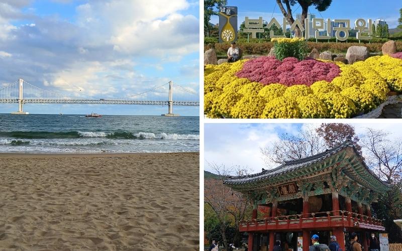 Busan adalah kota terbesar kedua di Korea setelah Seoul. Beberapa tempat terkenal yang ada di Busan antara lain adalah Pantai Gwangalli (gambar kiri), Taman Warga Busan (gambar kanan atas), dan Kuil Beomeosa (gambar kanan bawah). 