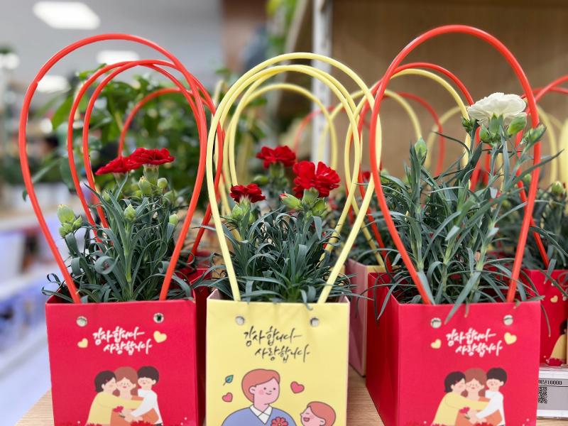 Pot bunga anyelir dengan pesan cinta umumnya diberikan saat peringatan Hari Orang Tua di Korea. Foto diambil di sebuah pasar swalayan lokal di Kota Gunsan. 