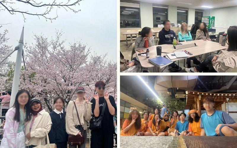 Kegiatan klub pertukaran bahasa dan budaya mencakup diskusi dan imersi budaya seperti menikmati festival bunga ceri dan jjimjilbang khas Korea. 