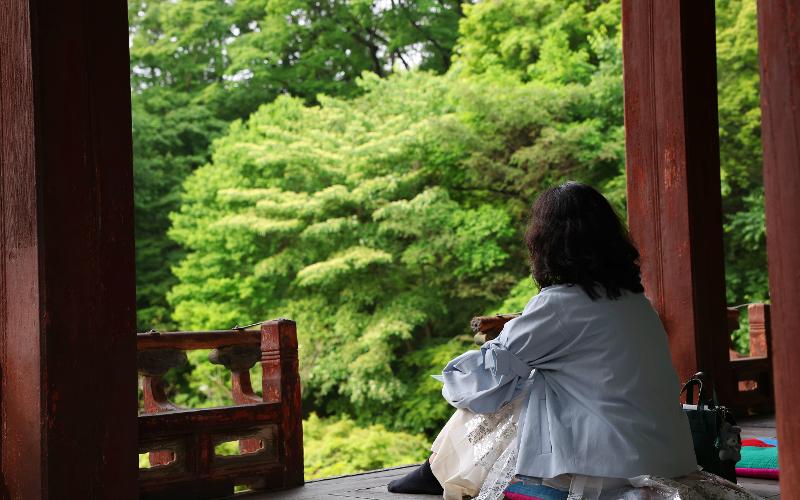 Paviliun Juhamnu adalah paviliun yang dibangun pada tahun 1776 saat Raja Jeongjo naik takhta. Pengunjung bisa menikmati suasana pagi Istana Changdeokgung di pagi hari dengan lebih syahdu.  