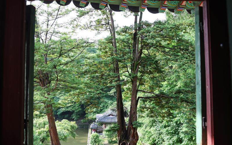 Foto di atas menunjukkan panorama dari bangunan hanok yang seakan berbentuk bingkai. Pemandangan tersebut memperlihatkan keindahan bangunan istana yang menyatu dengan alam. 