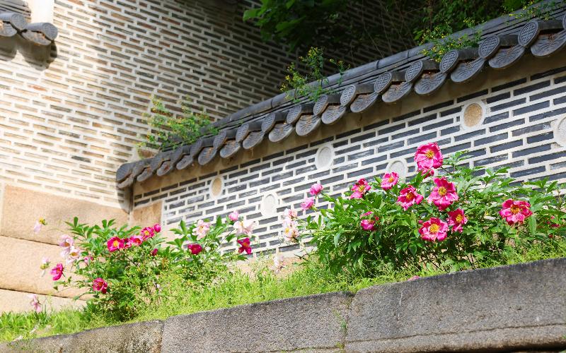 Istana Changdeokgung adalah istana paling tradisional di Korea yang menyatukan alam dengan bangunan di sekitarnya, mulai dari bangunan paviliun, taman, dinding istana, hingga pepohonan di dalamnya. Berbagai bunga pun bisa ditemukan bermekaran di dekat dinding istana. 