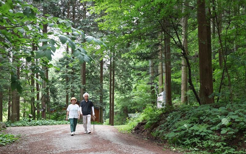 Park Dong Shik yang berasal dari Gwangju berjalan-jalan bersama istrinya di Hutan Penyembuhan Nasional Jangseong pada tanggal 19 Juni 2025.