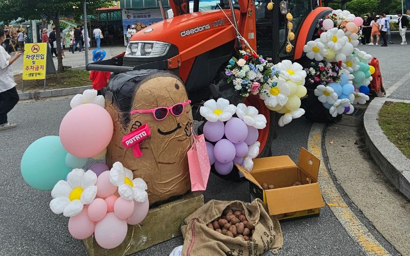 Gerbang Festival Kentang Chuncheon yang terbuat dari traktor dan hiasan kentang yang menarik. 