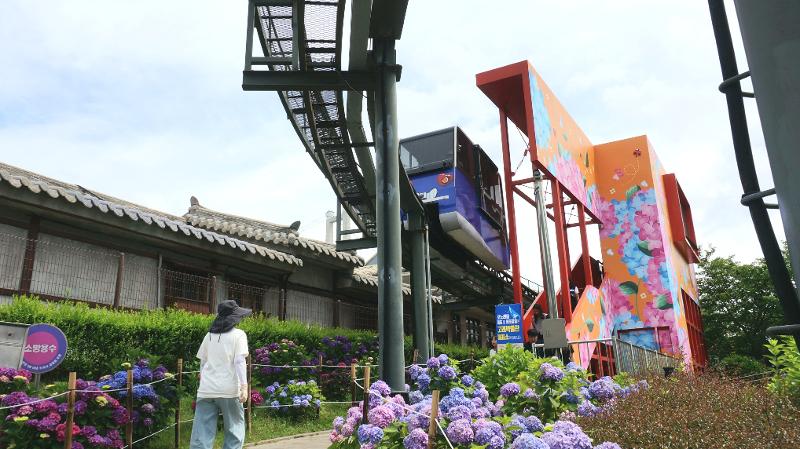 Salah satu pemberhentian monorel untuk mengelilingi area Festival Hydrangea Jangsaengpo. 