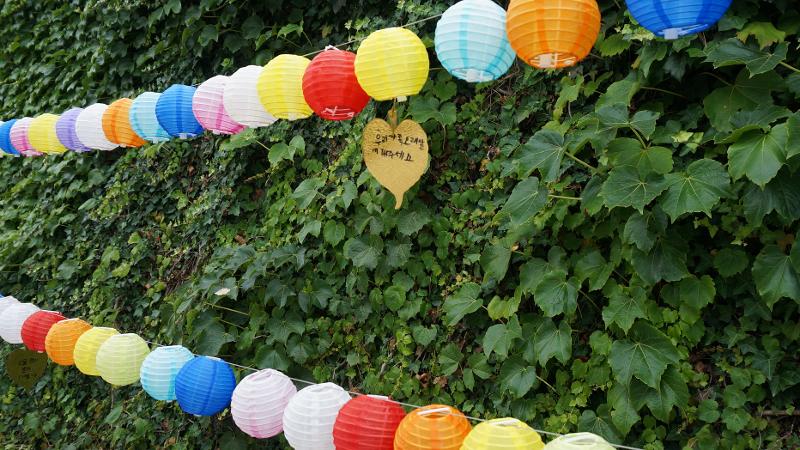 Pengunjung dapat menuliskan harapan-harapan dan menggantungkannya di lampion-lampion yang menghiasi sepanjang area festival. 