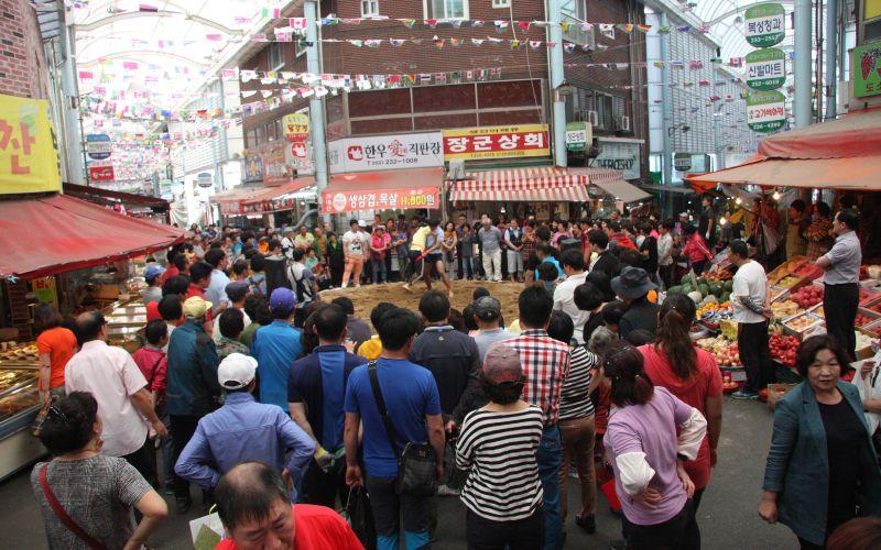 Ssireum telah menjadi bagian dari perayaan rakyat Korea selama berabad-abad serta dimainkan di tepi sungai, pasar tradisional, dan lapangan desa pada hari raya dan festival. (Layanan Warisan Korea) 