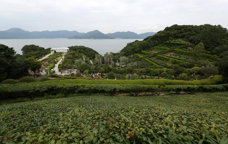 Oedo-Botania merupakan sebuah taman botani yang terletak di dalam Taman Nasional Hallyeohaesang di antara Tongyeong dan Pulau Geojedo. 