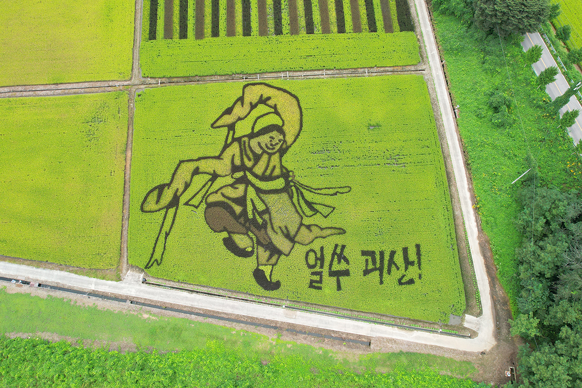 Sebuah gambar terlihat dibuat dengan menggunakan padi dalam berbagai warna di atas sawah yang terletak di Waduk Mungwang, Goesan-gun, Provinsi Chungcheongbuk. Foto yang diambil pada tanggal 8 September 2025 tersebut menampilkan ulang lukisan Mudong karya Kim Hongdo. Lukisan tersebur dibuat pada tahun 1780 dan menggambarkan kehidupan sehari-hari rakyat Joseon (1392-1910) pada masa itu. (Lee Jeong Woo)