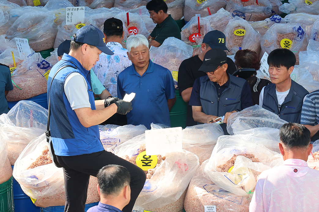 Pada tanggal 10 September 2025 chujeot dilelang di Tempat Pelelangan Udang Asosiasi Perikanan Utara Gyeongin, Oepo-ri, Nagae-myeon, Ganghwa-gun, Kota Incheon. Chujeot, yakni jeotgal (hidangan laut fermentasi khas Korea) yang dibuat dari udang musim gugur, merupakan bahan makanan yang menambah cita rasa gurih pada kimci. (Yonhap News)