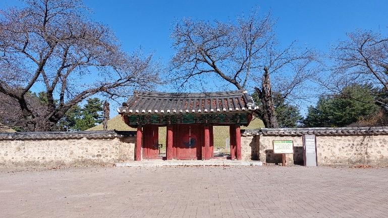Kawasan Makam Daereungwon menyimpan berbagai peninggalan bersejarah era Dinasti Silla di balik makam berbentuk gundukan tanah yang menyerupai bukit. (Maulia Resta Mardaningtias) 