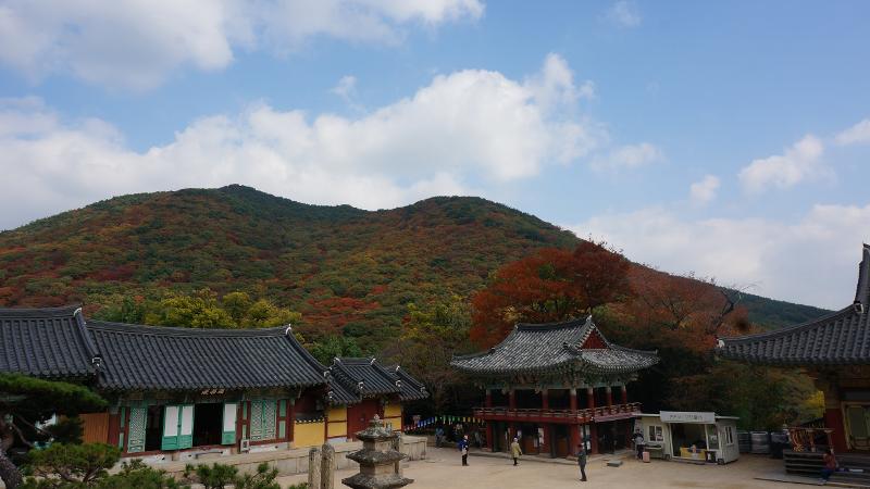 Pemandangan khas musim gugur dapat dinikmati dari atas Kuil Beomeosa. 