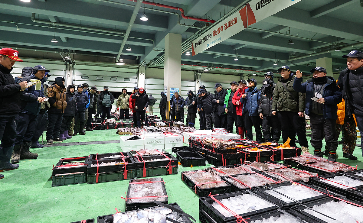 Pada tanggal 2 Januari 2026 lelang pertama tahun ini tengah berlangsung di tempat lelang ikan Incheon milik Suhyup Central Association di Incheon. (Yonhap News)