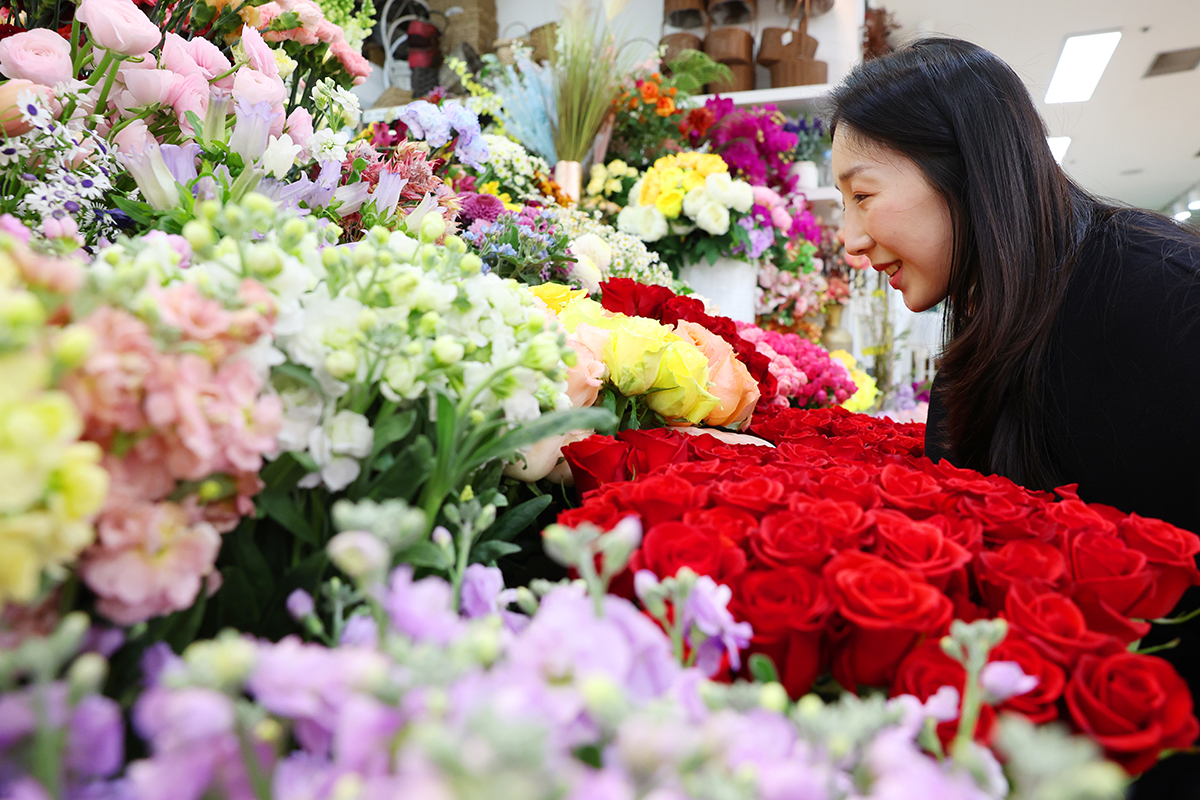 Pada tanggal 9 Januari 2026 ketika suhu di seluruh wilayah Korea turun di bawah titik nol, seorang warga terlihat mengamati bunga-bunga yang bermekaran cerah di Pasar Bunga Yangjae, Seocho-gu, Seoul. Sebagai pusat distribusi bunga terbesar di Korea, pasar ini dipenuhi aneka bunga berwarna-warni yang menghadirkan nuansa musim semi lebih awal, seakan menepis dinginnya musim dingin di luar. (Lee Jeong Woo)