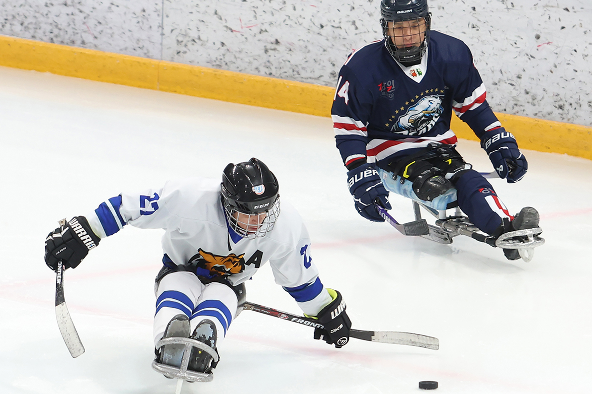 Pada hari kedua penyelenggaraan Pekan Olahraga Nasional Musim Dingin Penyandang Disabilitas ke-23, tanggal 28 Januari 2026, para pemain dari tim Gangwon dan Chungbuk menunjukkan kemampuan mereka dengan saling berebut bola dalam pertandingan hoki es yang digelar di Gangneung Hockey Center, Provinsi Gangwon. Ajang ini akan berlangsung hingga tanggal 30 Januari 2026 dan menyuguhkan persaingan sengit di berbagai wilayah Provinsi Gangwon. (Komite Paralimpiade Korea)