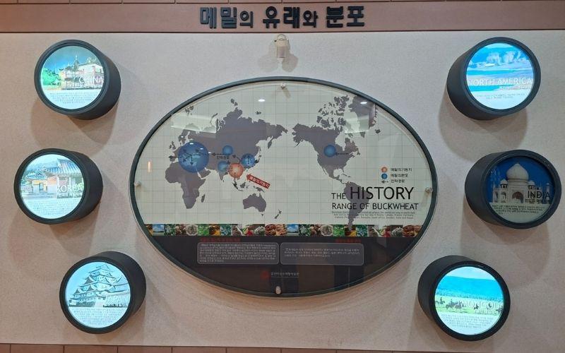 Beragam sejarah hidangan berbahan dasar gandum kuda dari berbagai negara yang diperkenalkan di Museum Makguksu Chuncheon. 