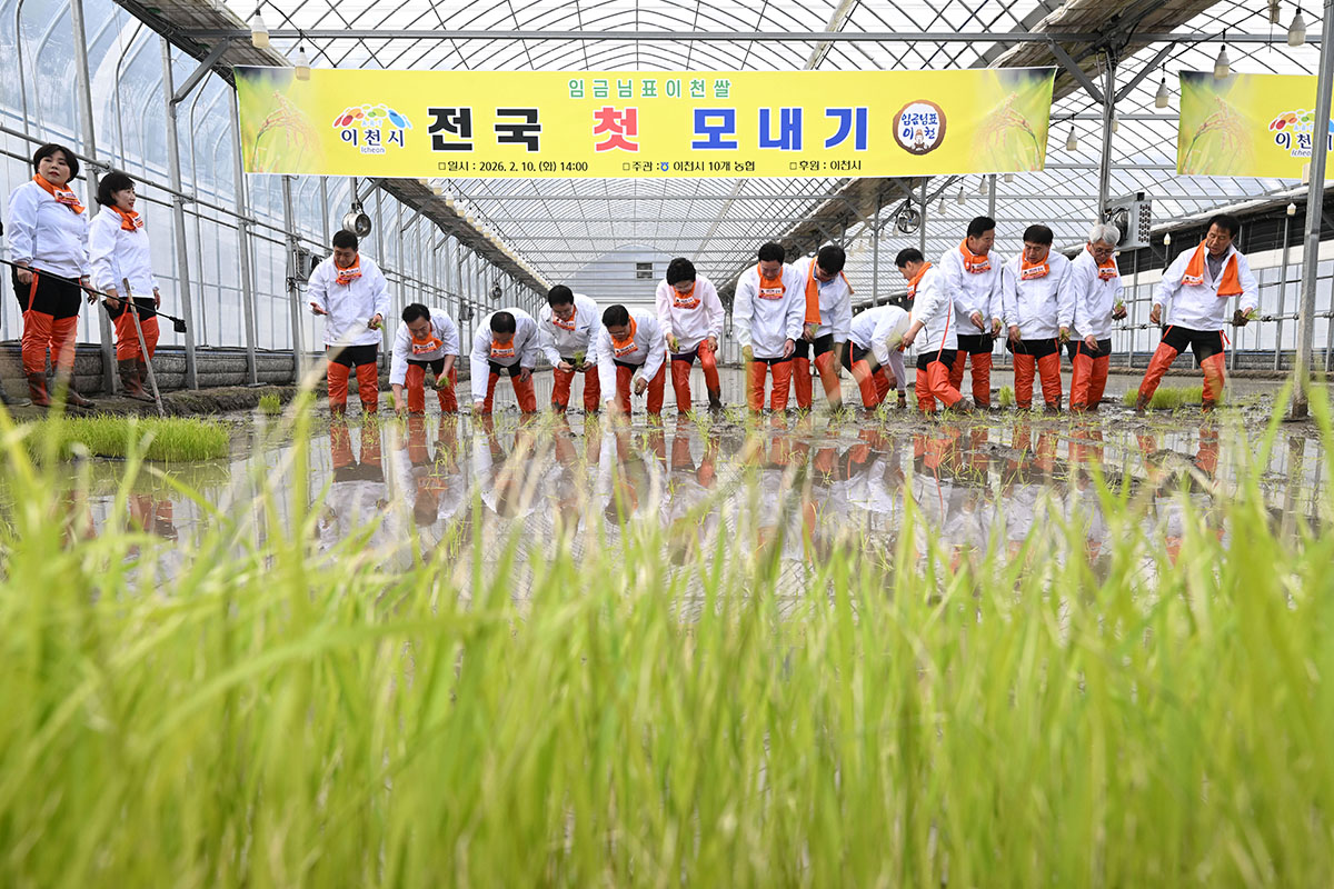  Para perserta terlihat sedang menyemai bibit padi varietas Icheon pada penyemaian bibit padi pertama tahun 2026 yang digelar pada tanggal 10 Februari 2026 di sebuah rumah kaca yang berada di Kota Icheon, Provinsi Gyeonggi. (Yonhap News)