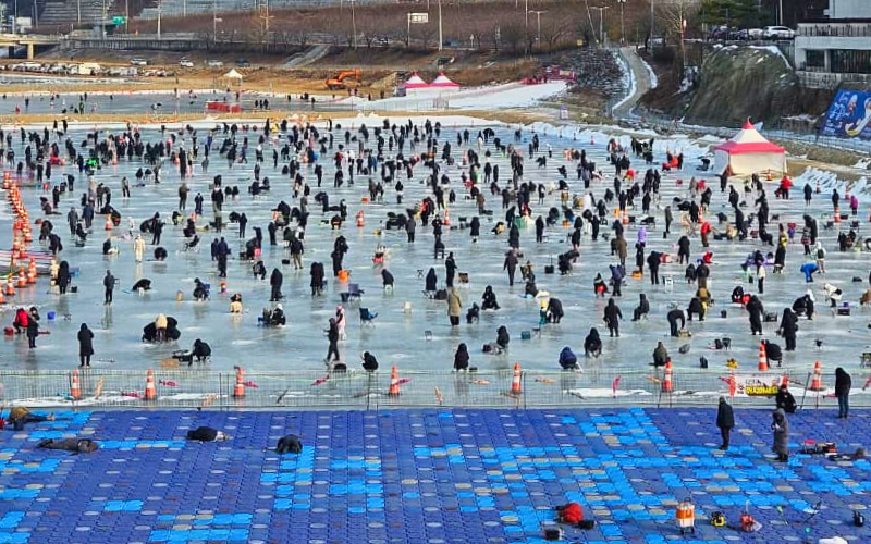 Festival Musim Dingin Hongcheongang yang tahun ini digelar pada 9-25 Januari 2026 dikenal dengan aktivitas memancing di atas sungai yang membeku. 