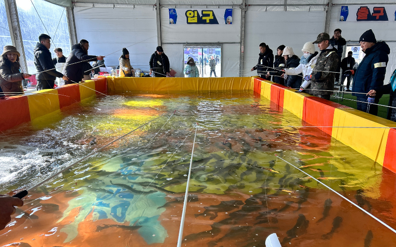 Suasana kegiatan memancing dalam ruangan yang diikuti pengunjung pada salah satu sesi Festival Musim Dingin Hongcheongang. 