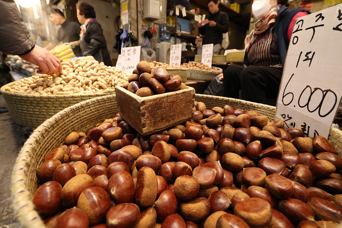 Pada tanggal 3 Maret 2026, bertepatan dengan perayaan Jeongwol Daeboreum (bulan purnama pertama dalam penanggalan lunar), aneka bureom dipajang dalam jumlah melimpah di Pasar Gyeongdong, Dongdaemun-gu, Seoul, menarik perhatian pengunjung. Bureom merujuk pada berbagai jenis kacang-kacangan termasuk kastanye, kenari, dan kacang pinus yang secara tradisional dikonsumsi saat Jeongwol Daeboreum. Pada hari tersebut, terdapat pula tradisi memecahkan bureom, yakni menggigit kacang bercangkang keras sebagai doa untuk kesehatan dan keselamatan sepanjang tahun. (Lee Jeong Woo)