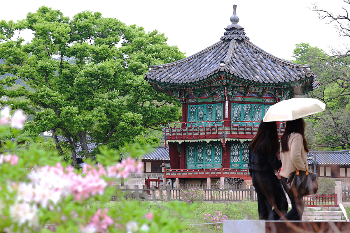 Pada tanggal 20 April 2026 merupakan Gogu, salah satu dari 24 istilah musim yang menandai turunnya hujan musim semi yang menyuburkan tanaman. Dua orang wisatawan asing terlihat sedang berjalan dengan payung di Istana Gyeongbokgung, Seoul. (Lee Jeong Woo)