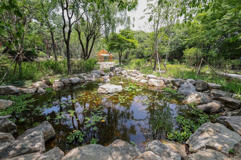 Kolam kecil dan pepohonan di Taman Hutan Korea Namsan menghadirkan suasana alam yang tenang di tengah kota Seoul. Dokumentasi foto tercantum pada 29 Juni 2026. 