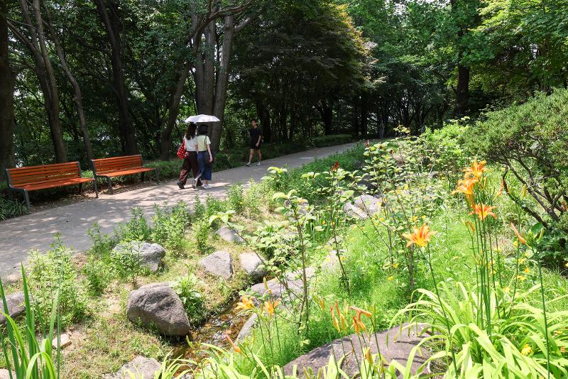 Jalur berjalan di Namsan Korean Forest Garden memperlihatkan ruang hijau publik yang nyaman bagi warga dan wisatawan. Dokumentasi foto tercantum pada 29 Juni 2026. 