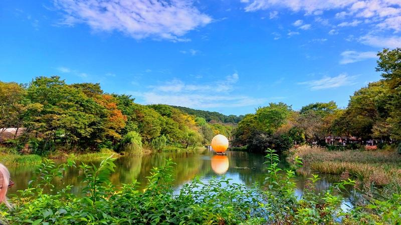 Potret lentera berbentuk bulan purnama yang mengapung di atas permukaan Sungai Jigokcheon yang berada di Desa Rakyat Korea, Kota Yongin, Provinsi Gyeonggi. (Maulia Resta Mardaningtias) 