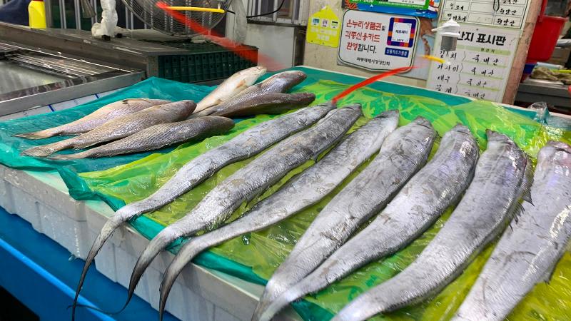 Penulis terkagum melihat ikan panjang yang dijual pada tanggal 16 Juni 2026 di Pasar Jwadong, Busan. Ikan ini dikenal sebagai ikan cutlassfish atau hairtail yang menjadi favorite warga Busan. 