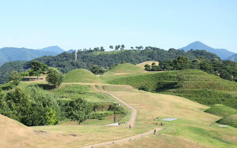 Tumuli merupakan gundukan makam menyerupai bukit. Potret yang diambil pada tanggal 27 Juli 2026 di atas adalah Komplek Pemakaman Haman Tumuli, Haman-gun, Provinsi Gyeongsangnam. (Park Daejin dari Korea.net) 